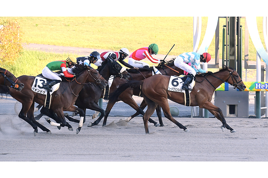中京10R・3歳上1勝クラス、1着でゴールしたリードプリンシパル（右）【写真：産経新聞社】