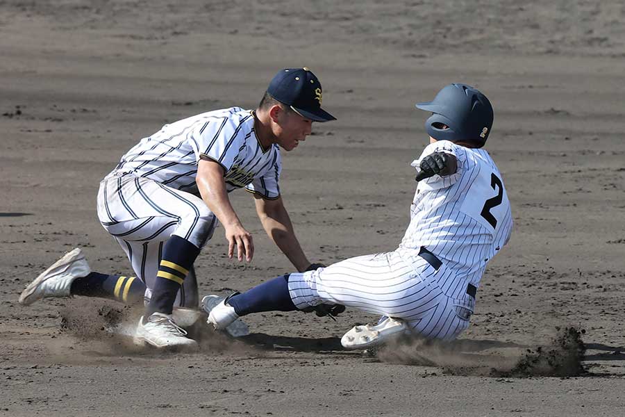 1回戦に出場した白樺学園の二塁手・金井瀬那【写真:スポーツ報知/アフロ】