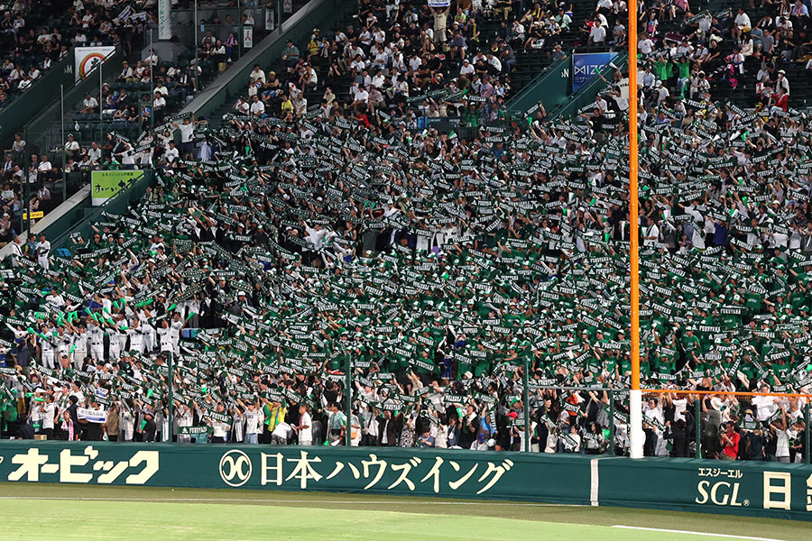  福山のアルプス応援席【写真：スポーツ報知/アフロ】