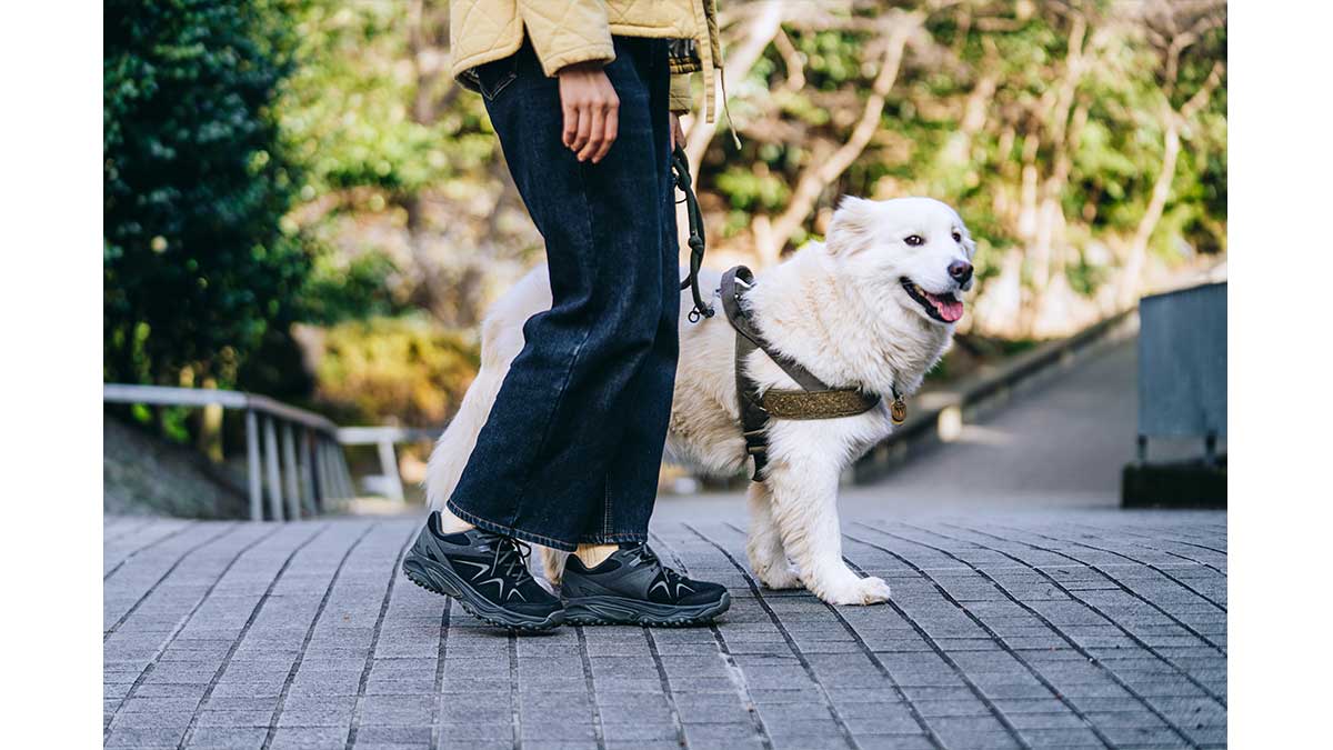 Yokota 3 Gore-Tex