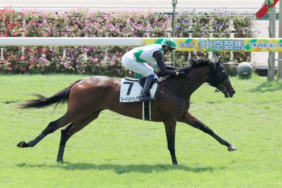 中京3R・2歳新馬（芝2000メートル）を制したゴーイントゥノヴァ【写真：産経新聞社】