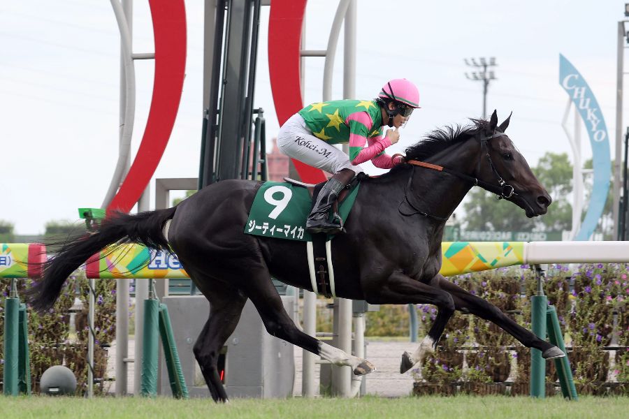 中京7RのG3・中京2歳S(芝1400メートル)で完勝したジーティーマイカ【写真:産経新聞社】