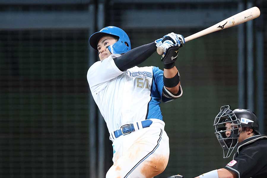 日本ハムの今川優馬【写真：産経新聞社】