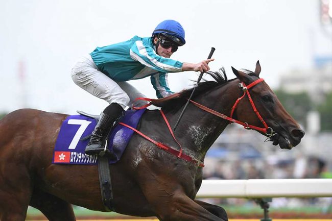 香港の超名馬ロマンチックウォリアーが現役引退 日本でもG1安田記念