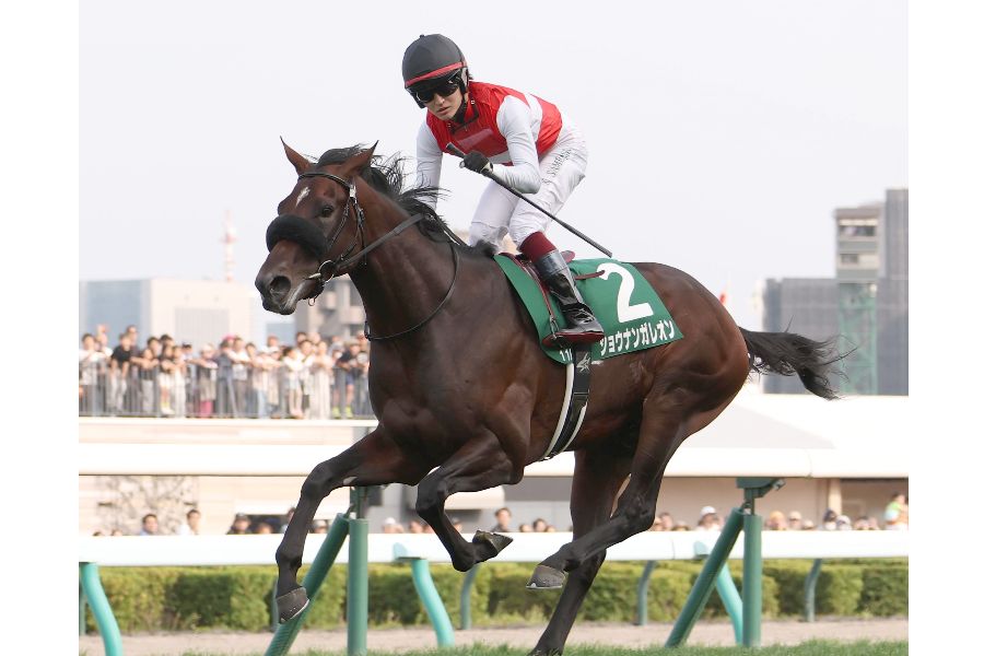 札幌11RのG3・札幌2歳Sで圧勝したショウナンガレオン【写真:産経新聞社】