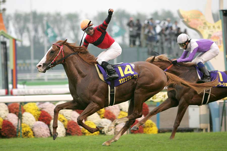 2008年のG1菊花賞を制したオウケンブルースリ【写真：産経新聞社】