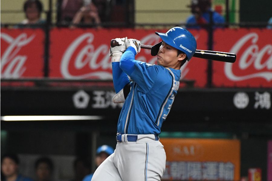 柴田獅子【写真：産経新聞社】