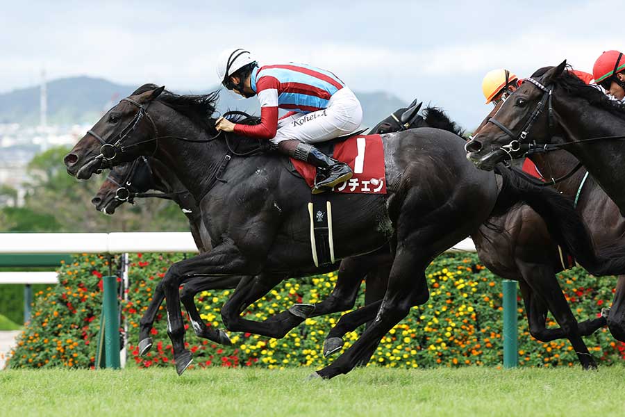 神戸新聞杯はロブチェンが優勝【写真:産経新聞社】