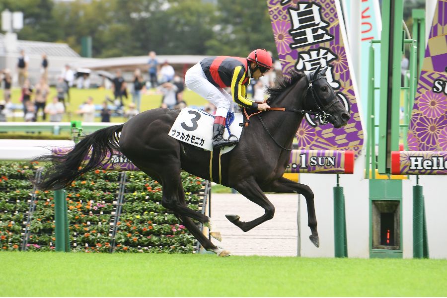 衝撃の圧勝を飾ったヴァルカモニカ【写真:産経新聞社】
