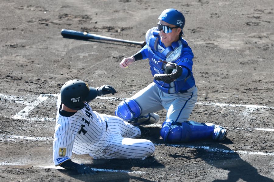 大山の適時打で生還した阪神・近本光司【写真:産経新聞社】