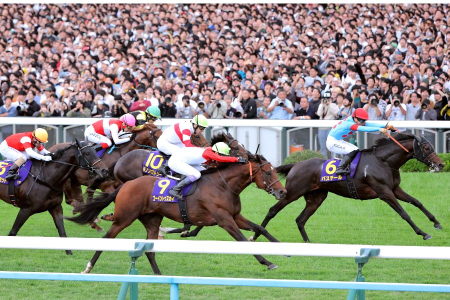 菊花賞で2着だったバステール(右)【写真:スポーツ報知/アフロ】